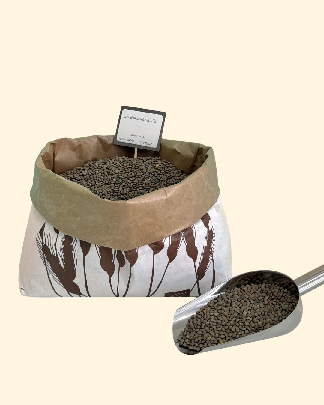 Lenteja Pardina (500g)