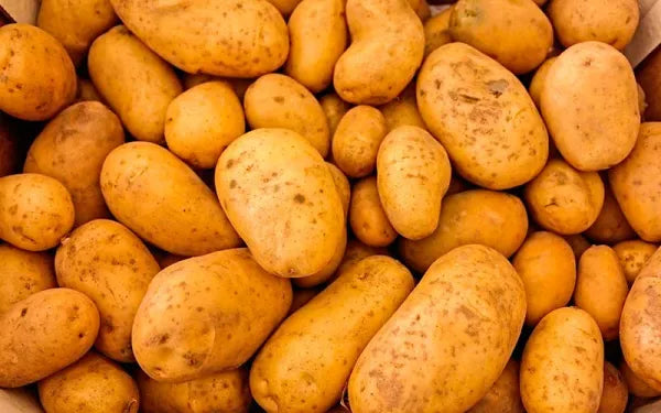 Patata